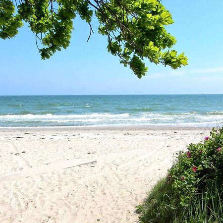 Strandnahe Fewo Mit Balkon, Gratis Nutzung Vom Ahoi Erlebnisbad Und Sauna In Sellin - Rex Rugia Fewo 13-7 Лоббе Экстерьер фото